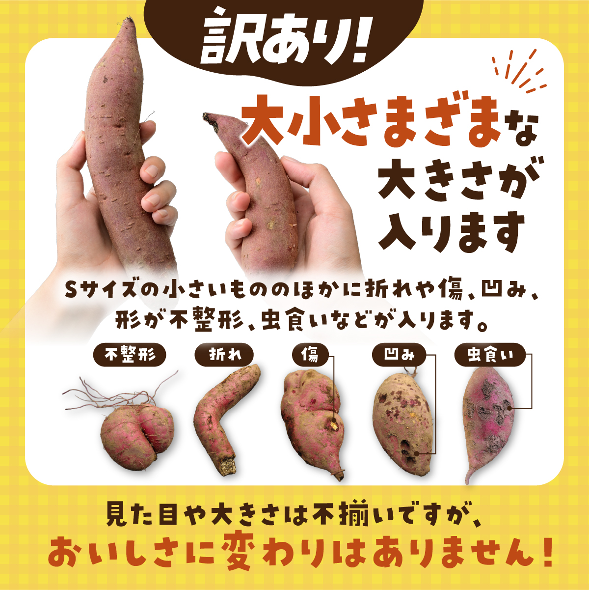 【訳あり】土付きさつまいも シルクスイート (無選別) 10kg | 新物 シルクスイート しるくすいーと