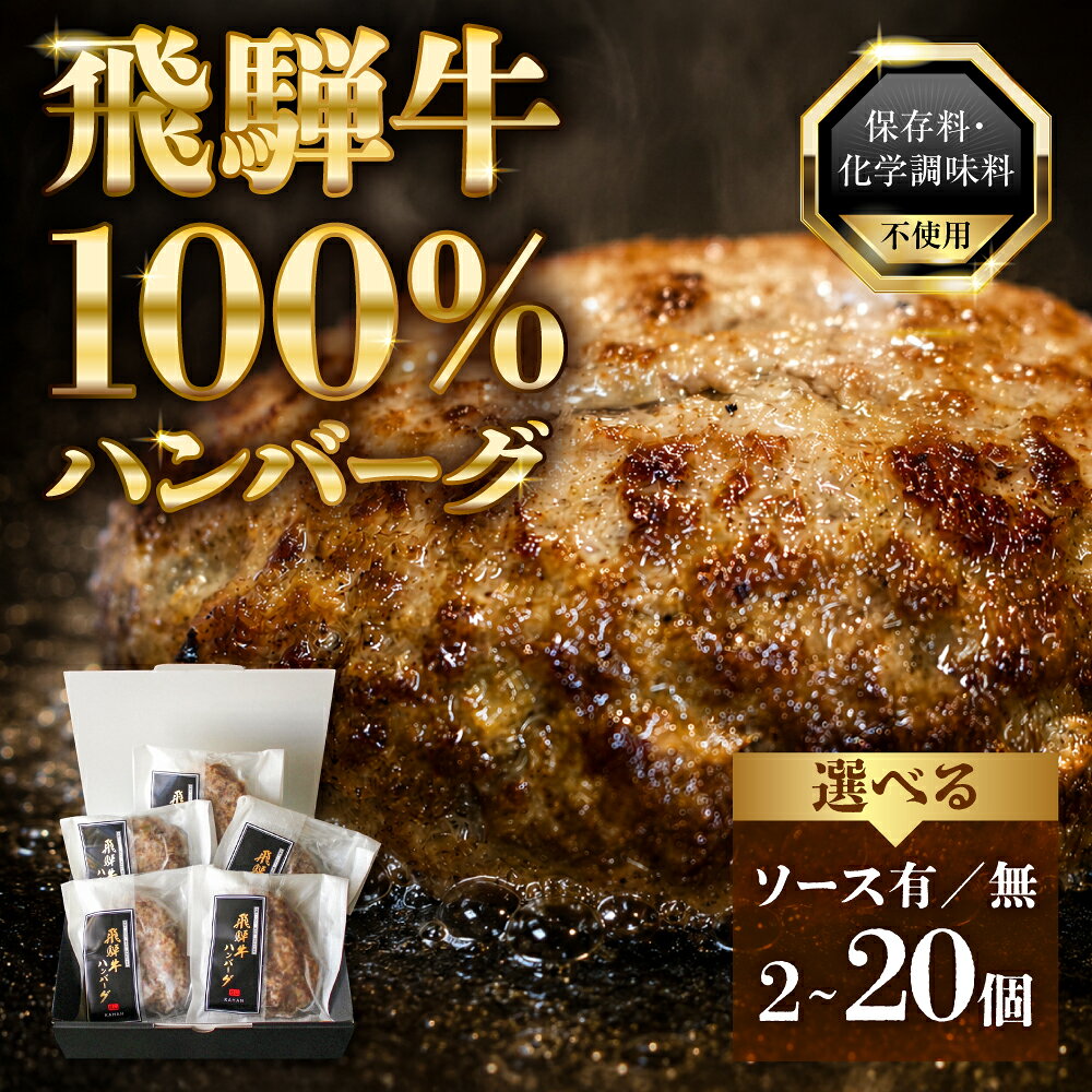 【ふるさと納税】飛騨牛100％ハンバーグ ≪選べる 2〜10個≫ 訳あり 生ハンバーグ 焼くだけ 簡単調理 牛 100% デミグラスソース付 和牛ハンバーグ 冷凍 国産牛 惣菜 冷凍ハンバーグ 10個 5個 セット 岐阜県 郡上市 odori-s