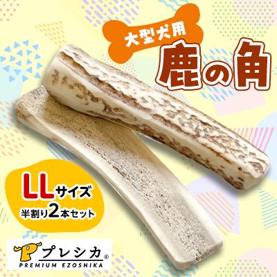 ふるさと納税 北見市 プレシカ　大型犬用鹿の角　LLサイズ半割り2本セット(約15cm)