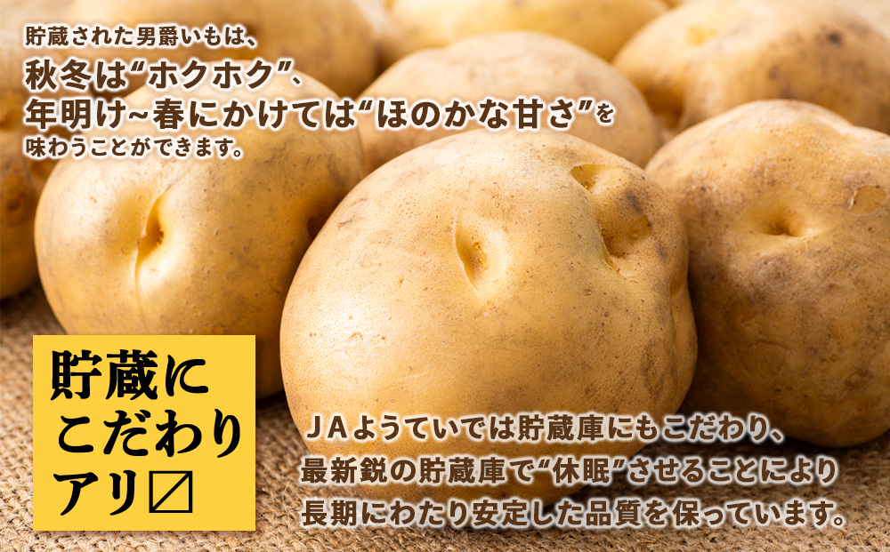 【2026年秋発送 先行予約】じゃがいも 馬鈴薯（男爵）Ｌサイズ 10kｇ＜JAようてい＞