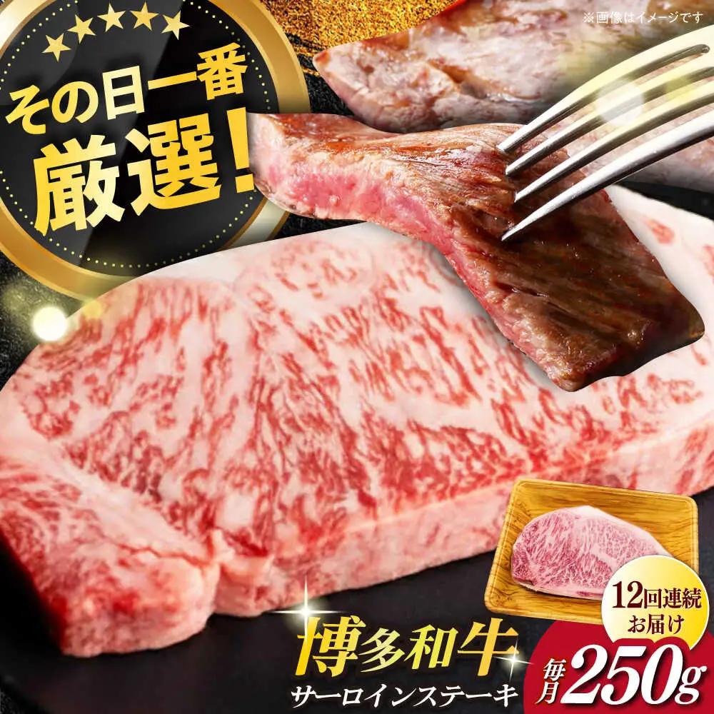 サーロイン 【全12回定期便】 博多和牛A4以上サーロインステーキ250g×1枚 [ABBP047]