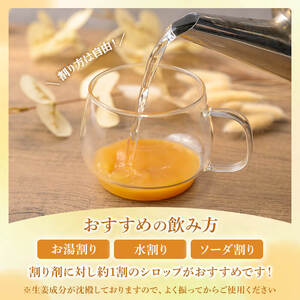 抗酸化野菜 生姜シロップ 計1kg (250g×4個) ジンシャーシロップ ジンジャー ジンジャーエール しょうがシロップ しょうが 生姜 国産生姜 炭酸割り 【株式会社NARIDAヘルスサポート】t