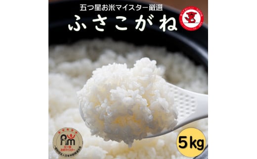 新米 令和6年 ふさこがね 5kg 米 こめ ごはん 白米 お米 ギフト 炊き込みご飯 混ぜご飯 朝食 昼食 夕食 おにぎり おじや おかゆ 贈物 日用品 食品 備蓄 防災 お取り寄せ グルメ 美味しい ふるさと納税 ふるさと納税米 送料無料 千葉県 銚子市 根本商店