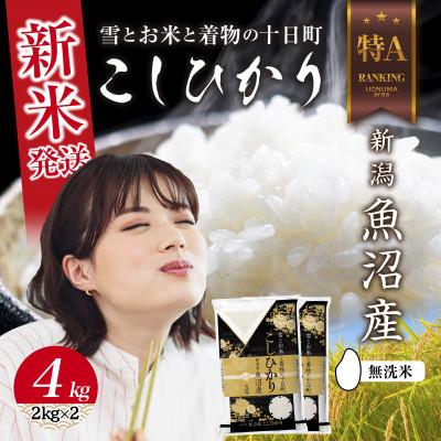 ふるさと納税 十日町市 【令和8年産 新米】 無洗米 魚沼産 コシヒカリ 4kg (お米の美味しい炊き方ガイド付き)