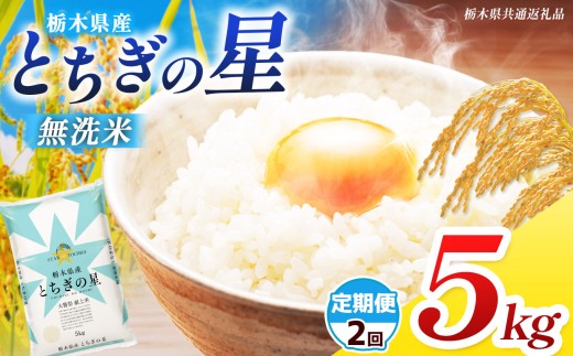 【栃木県共通返礼品】【先行予約】【令和8年度産】【定期2回】 訳あり 栃木県産 とちぎの星  無洗米 5kg | 定期便 選べる ふるさと 納税 コシヒカリ とちぎの星 お米 精米 無洗米 ごはん ご飯 主食 日本米 kome 栃木県 共通返礼品 那珂川町 送料無料