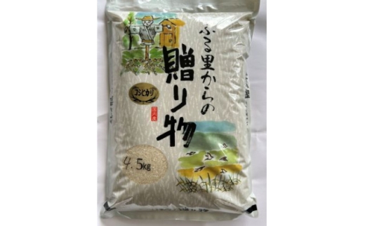 千葉県館山産コシヒカリ　精米　4.5kg【1735245】