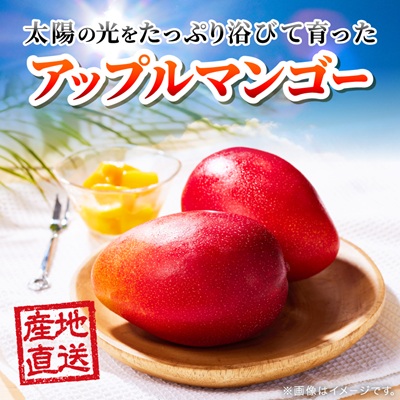 【2026年6月下旬から順次発送】今帰仁産のA級アップルマンゴー1kg(2〜3玉)【配送不可地域：離島】【4014730】