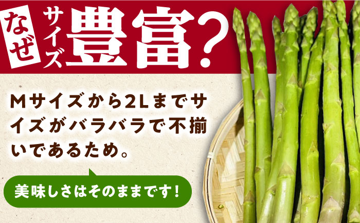 訳あり！朝採れアスパラガス１kg 《対馬市》【農家くんのアスパラファーム】  冷蔵 アスパラ とれたて 新鮮 野菜　産地直送 1万円 10000円 [WCT001]