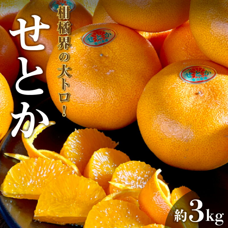 【ふるさと納税】 みかん せとか 柑橘界の大トロ 約3kg [ フルーツ 果物 果実 柑橘 デザート スイーツ 甘い 果汁 常温 食品 国産 香川県 三豊市 お取り寄せ お取り寄せグルメ ギフト プレゼント 送料無料 旬 北浜商店 ]【2026年出荷】【配送不可地域：北海道・沖縄県・離島】
