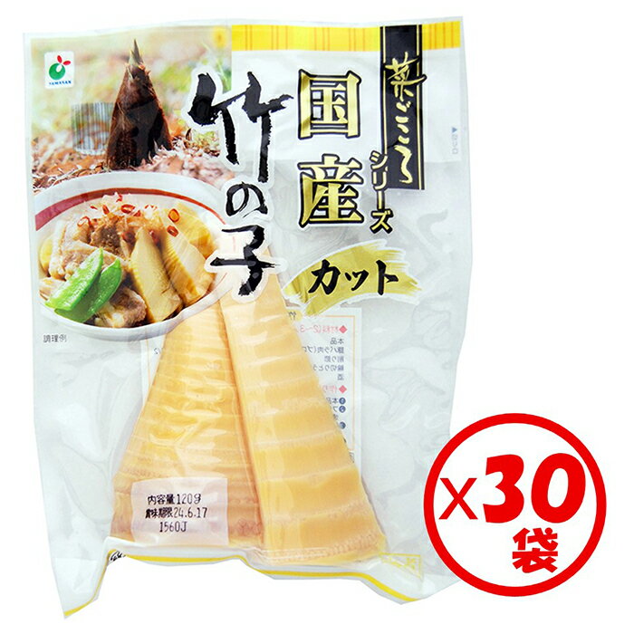 【ふるさと納税】「菜ごころ 国産竹の子カット 120g」×30袋 ※離島への配送不可