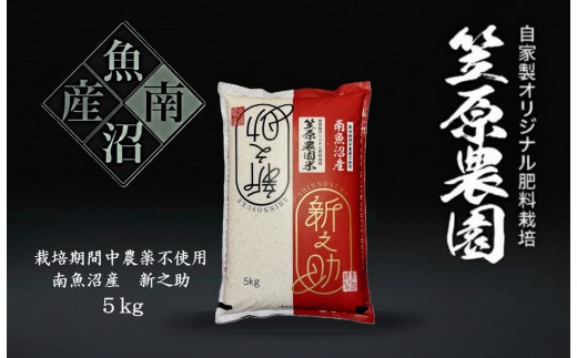 【令和７年産】南魚沼産 笠原農園米 栽培期間中農薬不使用【一年目】 新之助 5kg