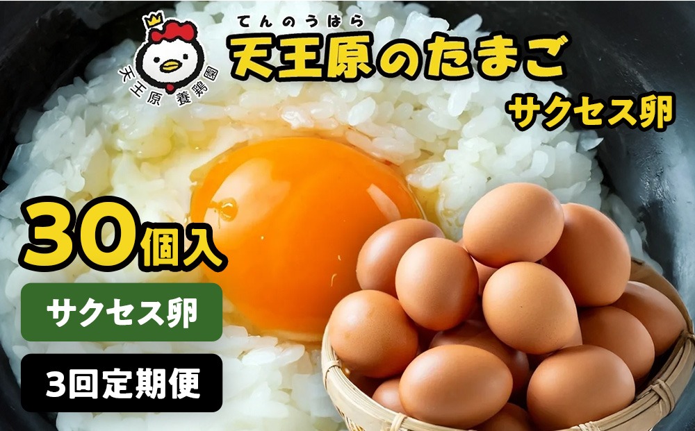 【定期便】3回定期 【天王原のたまご】サクセス卵 30個入り
