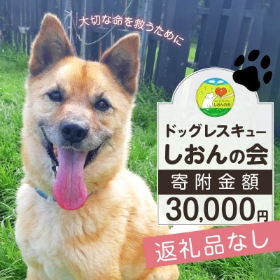 【野犬の保護】浜中町「ドッグレスキューしおんの会」寄附30000円返礼品なし_H0039-007