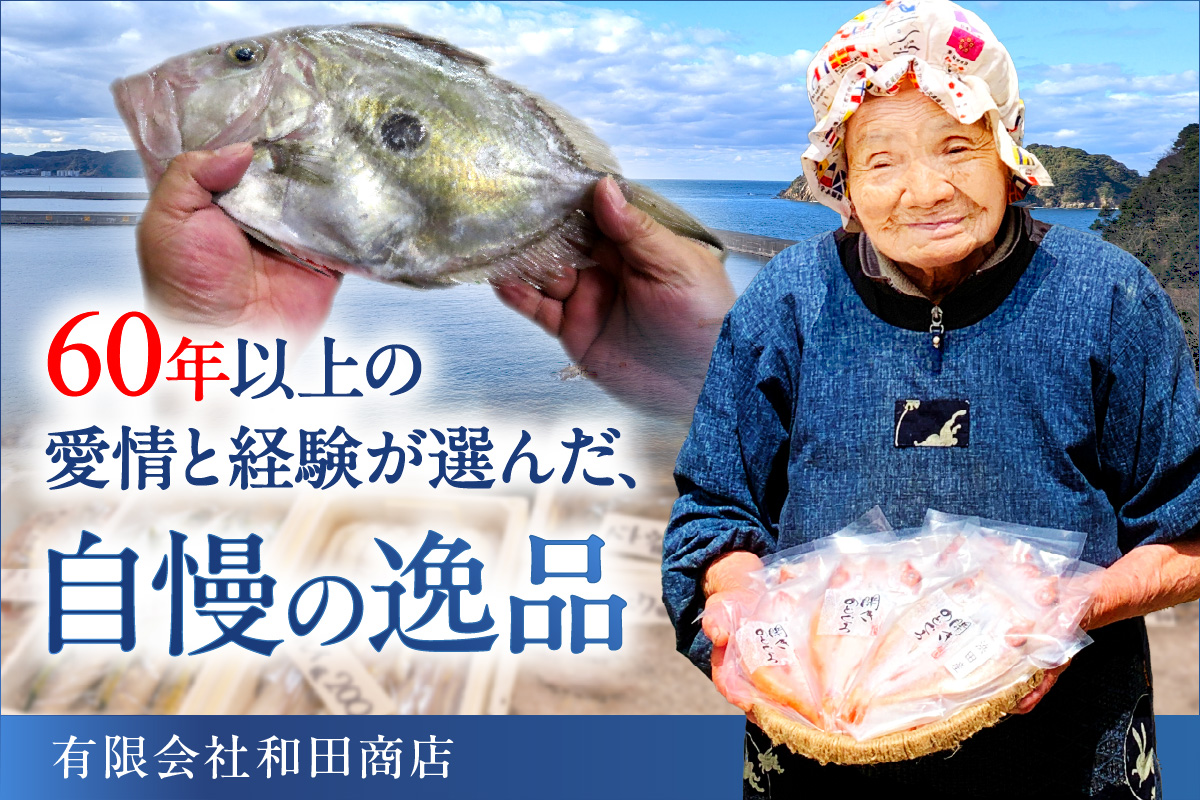 山陰浜田港 水揚げされた大きめ人気干物セット 魚介類 魚貝類 魚介 魚 干物 干もの 一夜干し 干物セット セット 加工品 【424】
