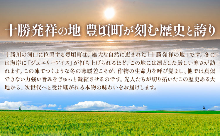 【2回定期便】2026年 先行予約【訳あり】十勝豊頃産 ながいも 10kg 植村農場 《12月上旬-2月末頃出荷予定》北海道 豊頃町 長芋 山芋 とろろ 野菜 旬 特産 産地直送 農家直送 家庭用 ま