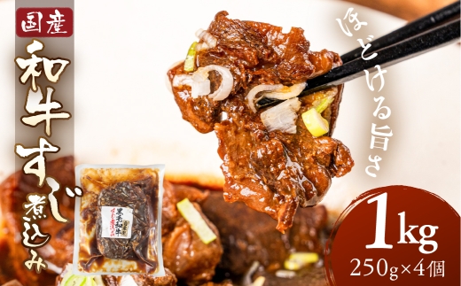 【12月11日〆年内発送】＼深い旨みとコク／和牛すじ煮込み 1kg 250g×4個 レトルト 小分け 国産 国産和牛 和牛 冷蔵 惣菜 煮込み おかず おつまみ 牛すじ 牛筋 煮込み 便利 時短 お手軽 10000 1万 中部ミート 岐阜県 大垣市 年内配送 年内発送 年内お届け