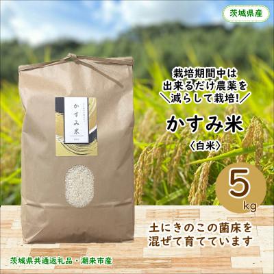 ふるさと納税 行方市 【毎月定期便】栽培期間中出来るだけ農薬を減らしたかすみ米 白米5kg茨城県共通返礼品・潮来産全12回