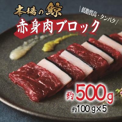 ふるさと納税 下関市 鯨 ( くじら ) 赤身 ブロック 500g 冷凍 下関 FG043