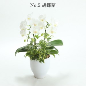 季節ごとに届く、えらべるお花　Sサイズ（4回お届け）