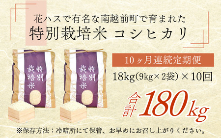 【先行予約】【10ヶ月連続お届け】令和6年度産 特別栽培米 コシヒカリ 18kg×10ヶ月（計180kg）【2024年10月より順次発送】[P-012019]