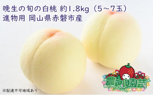 
固めの 桃 2024年 先行予約 晩生の旬の 白桃 約1.8kg 5～7玉 進物用 もも モモ フルーツ 果物 岡山 赤磐市産 農マル園芸 あかいわ農園
