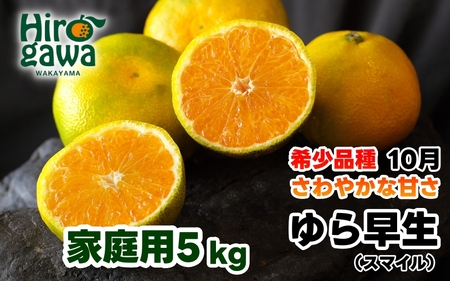 由良早生 みかん 訳あり 5kg / ゆら早生 温州みかん 極早生 甘い 家庭用 和歌山 柑橘 ※2026年10月上旬～10月下旬頃順次発送予定  ※北海道・沖縄・離島への配送不可  【sml003-yura-c5】