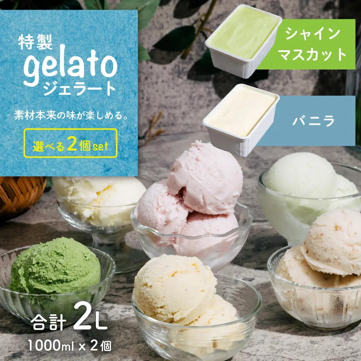 ジェラート 1L×2個 アイス バニラ × シャインマスカット ジェラート