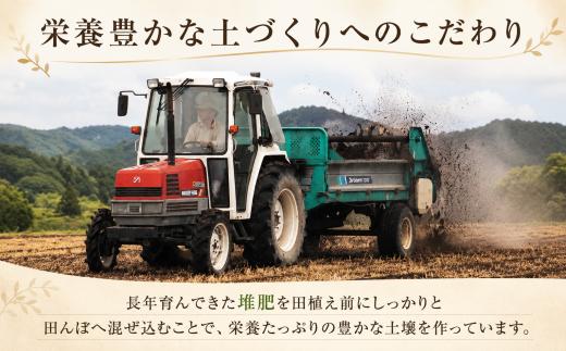 【令和7年産】先行受付 福岡県産 ヒノヒカリ 4kg  単品 ひのひかり 福岡産 福岡 ふるさと納税 米 お米 江口農産 柳川市産 白米 米 お米 こめ コメ ライス ご飯 ごはん 美味しい 贈り物 