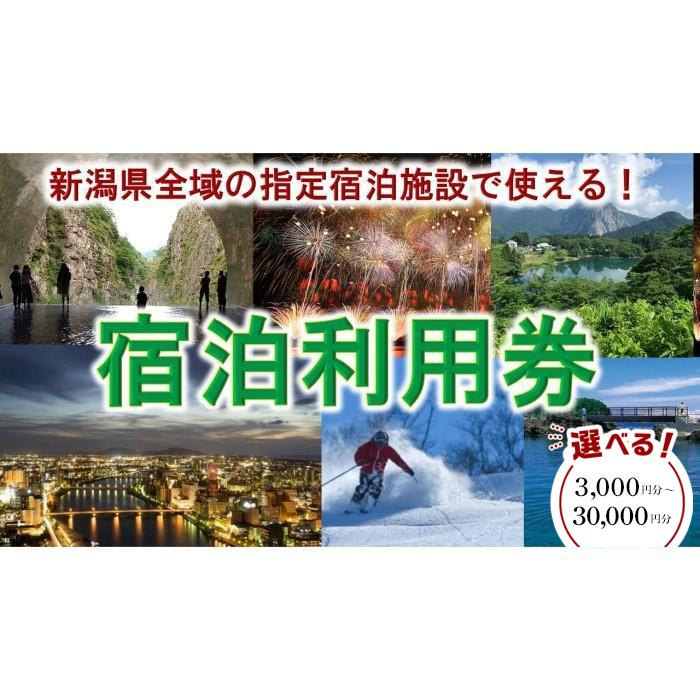 【宿泊利用券】新潟県内の指定宿泊施設で使える！（3枚）3,000円分 | 旅行券 宿泊券 旅行 宿泊 トラベル 体験 チケット 予約 観光 温泉 ホテル 旅館