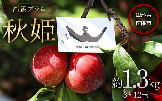 【令和7年産先行予約】 高級プラム ｢秋姫｣ 約1.3kg (8～12玉) 《令和7年9月～発送》『最上園』 山形県 南陽市 [685]