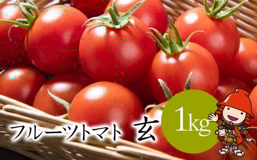 【期間限定】フルーツトマト 玄 1kg×1箱 | ミニトマト ぷちとまと プチトマト 国産 大分県中津産 九州野菜 大分県 中津市