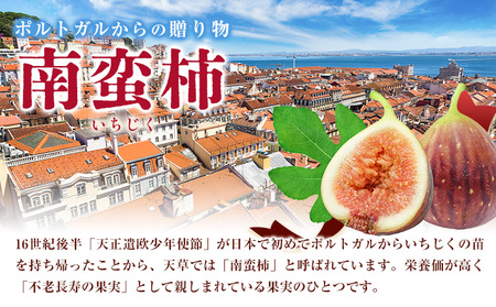 【2ヶ月定期便】天草 乾燥南蛮柿 ドライいちじく30g × 2袋 2回 いちじくドライフルーツ 乾燥 果物 南蛮柿 製菓 熊本県 苓北町 もり農園《お申し込みの翌月より出荷》