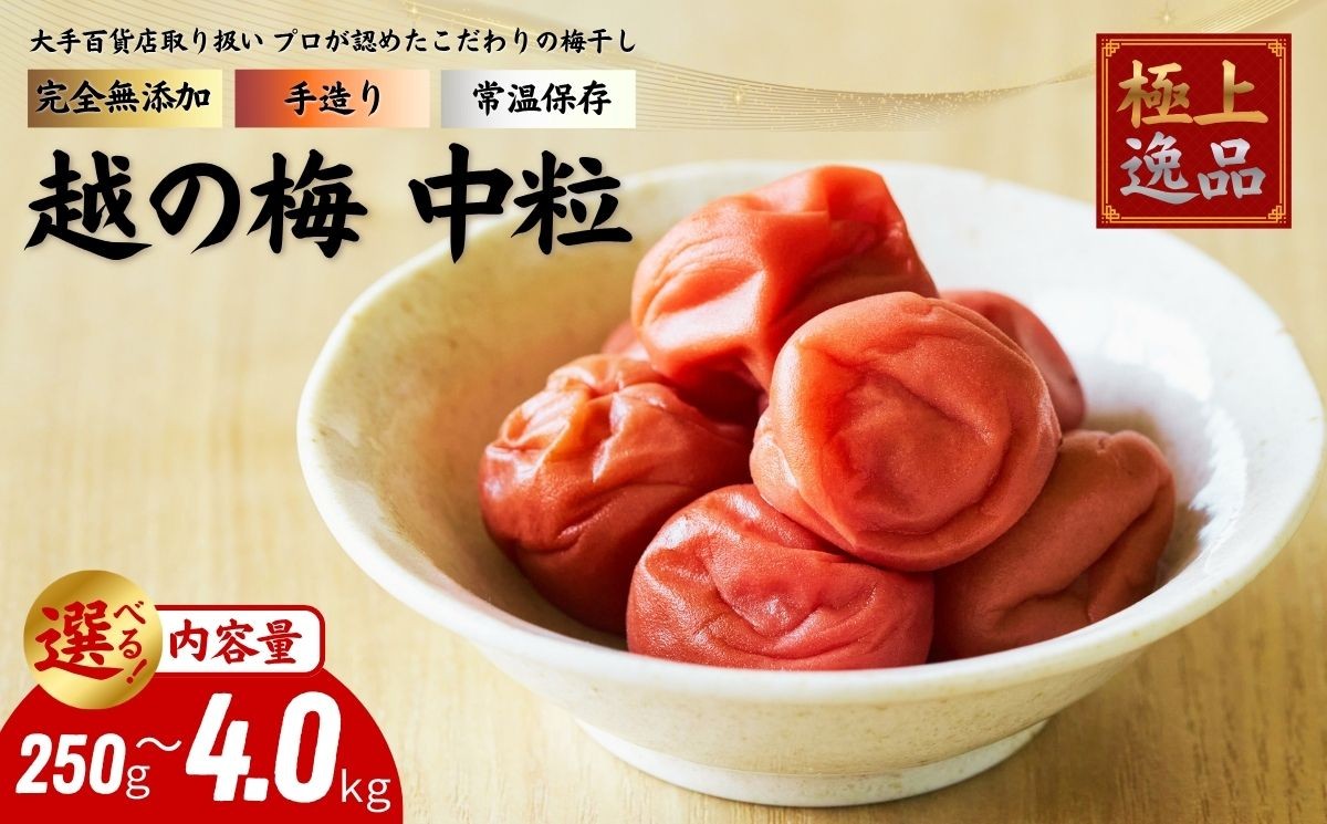 
                  及川農園 梅干し 越の梅 【中粒】 選べる内容量 / 賞味期限 約3年 国産 手作り 完全無添加 大手航空会社 国際線 ファーストクラス 12年連続採用 百貨店取り扱い 梅 セット グルメ お取り寄せ 特別 ギフト 贈答品 贈り物 送料無料 【#0159】
                