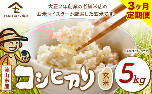 米 コシヒカリ 新川耕地・減農薬コシヒカリ 玄米 5kg《お申込み月の翌月から出荷開始》  有限会社山崎清八商店 千葉県 流山市 新川耕地 送料無料 定期便 3ヶ月 st-p