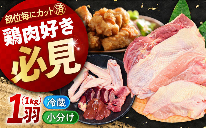 
うまさが違う！ せとうち育ちの江田島産地鶏 一黒シャモ一羽パック(合計約1kg) 焼き鳥 とりにく もも肉 むね肉 ささみ BBQ 江田島市/ポーク＆チキン江田島[XAH003]
