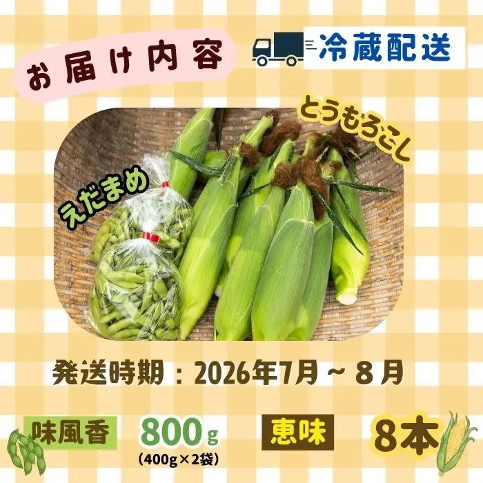 とうもろこし（恵味）・枝豆セット 木内ファーム_とうもろこし