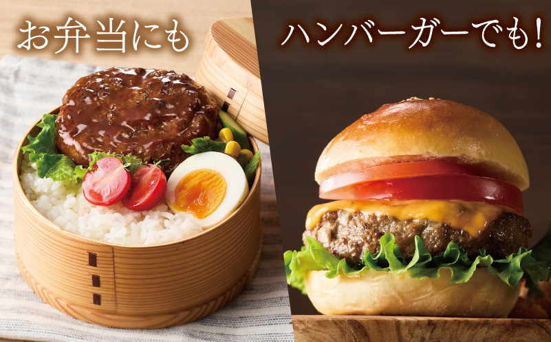 【馬肉ブレンド】レディースハンバーグ 総量3kg (100ｇ×30個) 【桜文 馬肉 惣菜 冷凍 牛肉 はんばーぐ 一人暮らし 弁当 個包装】 G2945
