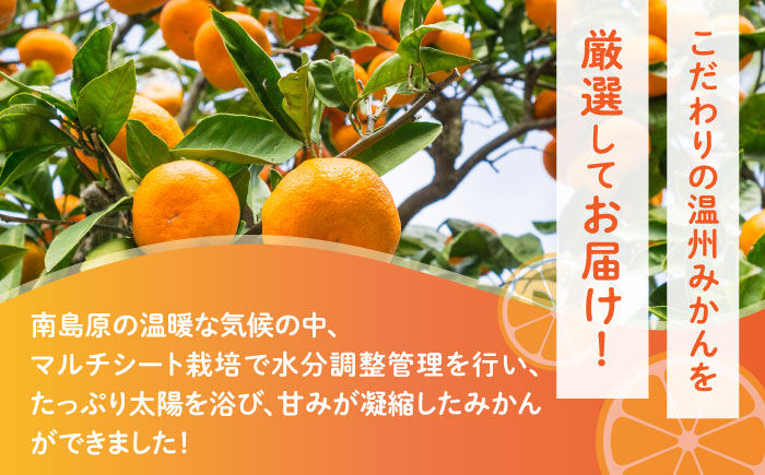 【2024年12月〜発送】【2回定期便】高糖度温州みかん約10kg（傷もの）計約20kg / みかん 訳あり 定期便 ミカン 蜜柑 長崎県産みかん 糖度 果物 くだもの 果物定期便 フルーツ ふるーつ