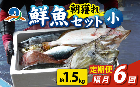 【定期便　隔月６回】【朝獲り】漁師厳選 鮮魚セット (小) 3種類以上 約1.5kg | 魚 詰め合わせ 新鮮 煮物 焼き物 お造り 刺身 晩酌 食卓 BBQ 急速冷凍 真空パック 鮮魚セット 詰合せ 鮮魚店 厳選 お任せ 鮮度 産直 海鮮 加熱用 福井県 南越前町 越前 盛り合わせ おまかせ お楽しみ おつまみ おかず ご飯のお供 送料無料