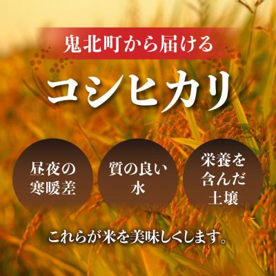 ふるさと納税 鬼北町 令和8年産 愛媛県産 コシヒカリ 10kg(精米) |  | 01