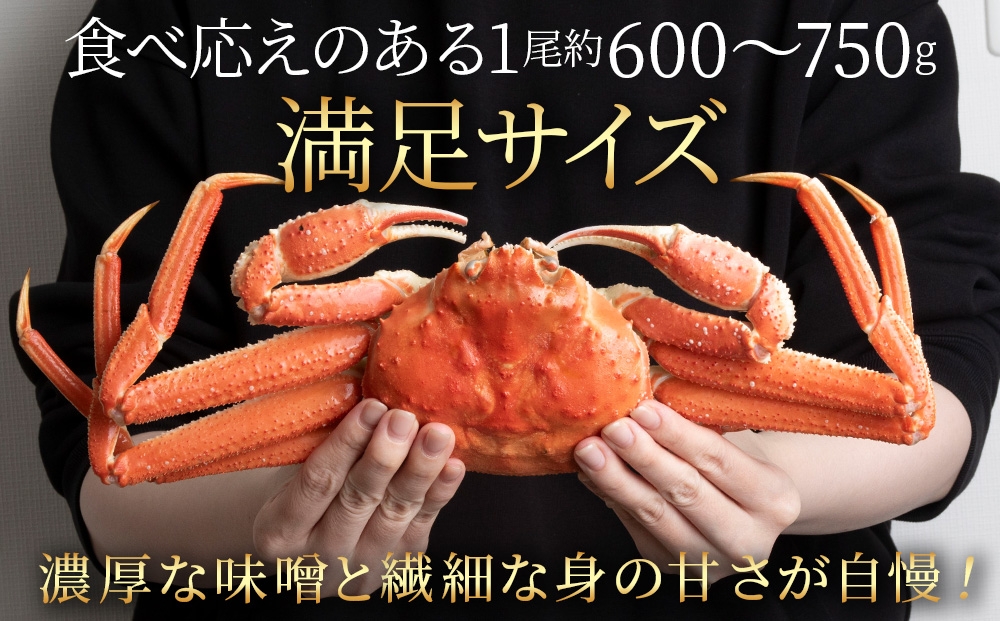 
                  北海道産 大ズワイガニ姿600ｇ～750ｇ×3尾＜超特大＞ オオズワイ 蟹 かに カニ ボイル AM215
                