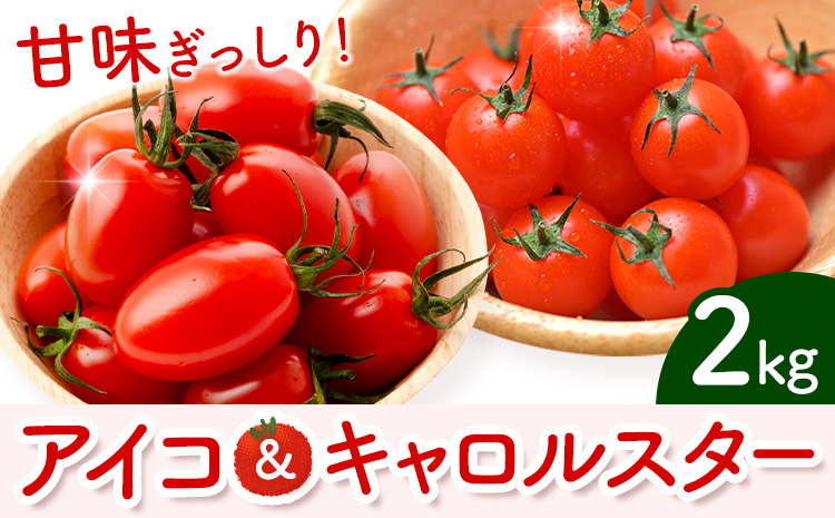ミニトマト アイコ＆キャロルスター 約2kg ますだふぁーむ《7月上旬-11月末頃出荷》熊本県 南阿蘇村 アイコトマト キャロルスター 野菜 旬 夏野菜 トマト---sms_cmsfmak_af711_26_11000_2kg---