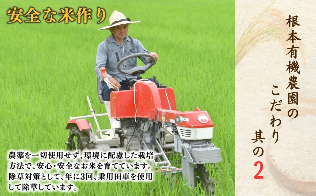 【令和7年産】南相馬・根本有機農園のJAS有機米コシヒカリ2kg（玄米）
