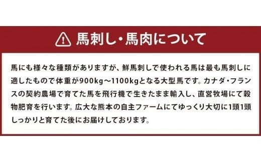 鮮馬刺しロース 約400g ロースブロック 約90g×4~6個セット 馬肉 馬刺し 馬刺 熊本馬刺し ロース 馬刺しのたれ付き