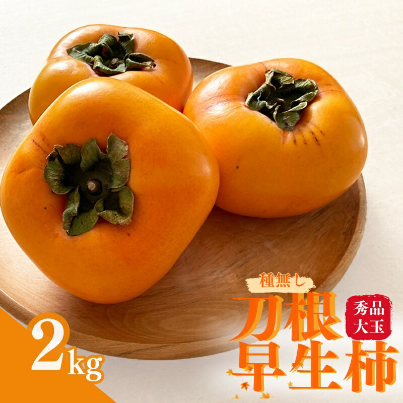 【ふるさと納税】 【先行予約】種無し柿 刀根早生柿 秀品大玉 約2kg（6個） 2025年9月下旬～10月下旬頃に順次発送予定（お届け日指定不可）/ 柿 かき 種無し 秀品 大玉 フルーツ 果物 くだもの