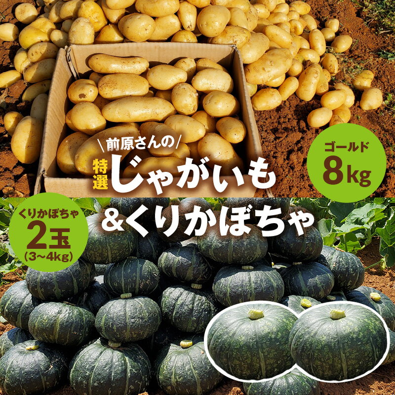 【ふるさと納税】【2026年先行予約】 前原さんの特選じゃがいも ゴールド 8kg ＆ くりかぼちゃ 2玉 じゃがいも 新じゃが かぼちゃ 南瓜 野菜 パンプキン 栗かぼちゃ 春かぼちゃ ほくほく 甘い スナップ牧場 鹿児島 知名町 おすすめ ランキング プレゼント ギフト