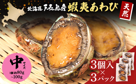 【北海道】天売島産 天然蝦夷あわび 中サイズ 3個入×3パック (1個 約80g～100g)【02171】