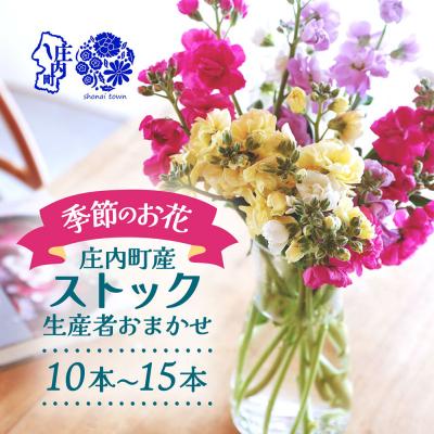 ふるさと納税 庄内町 【R8.12月発送】庄内町フラワーラボ ストック 生産者おまかせ 10本~15本 ミックス
