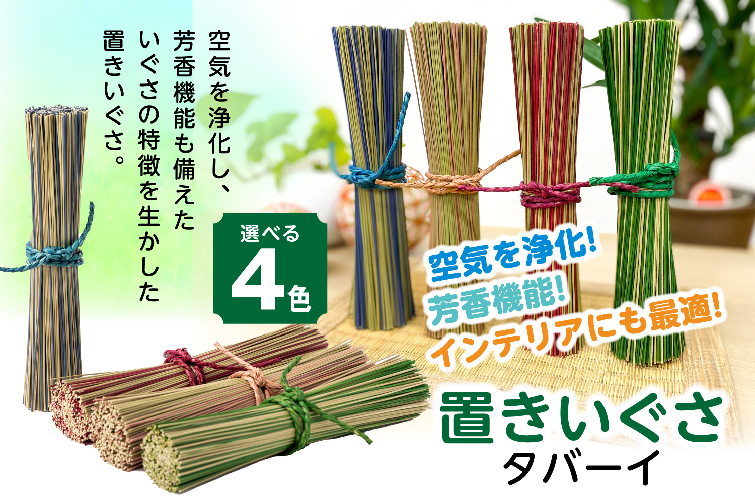 
            【4色から選べるカラー】置きいぐさ（タバーイ）
          