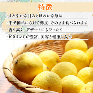 訳あり 黄金柑 3kg 低農薬 無化学肥料 みかん ミカン おうごんかん フルーツ 果物 くだもの 柑橘 かんきつ ビタミンC 富士長株式会社 静岡県 牧之原市 わけあり ワケアリ